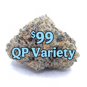 $99 Variety QP