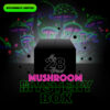 mushroom mystery box