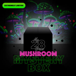 The MUSHROOM Mystery Box ??? Value Minimum $350+